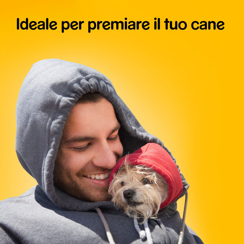 Pedigree Dog Adult Bisckrock Biscotti 500 gr