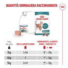 Royal Canin Cat Senior 15+ anni Airlift Mousse 85gr