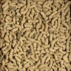 Sera Pond Sticks 1 lt