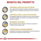 Royal Canin Veterinary Diet Dog Urinary U/C 2 kg