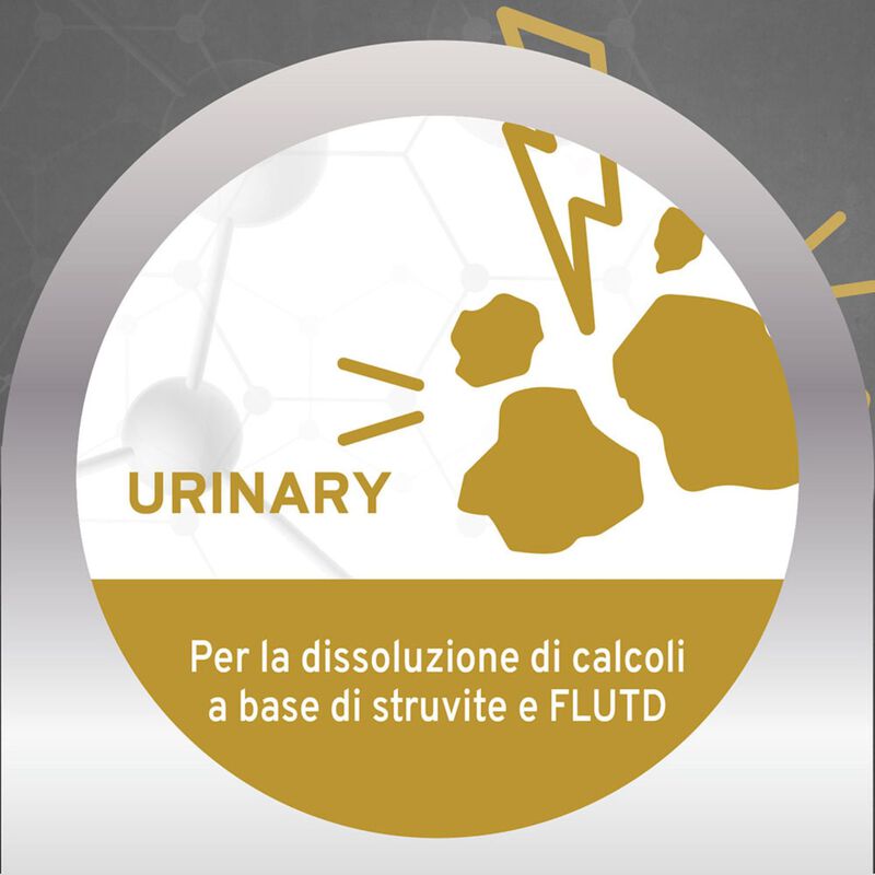 Forza 10 Active Vet Diet Urinary per gatti adulti al Pesce 1,5 kg