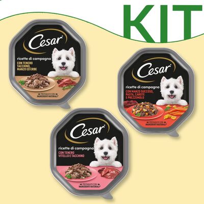 Kit degustazione Cesar Dog adult ricette di campagna 150 gr