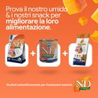 N&D Farmina Pumpkin Dog Adult Medium & Maxi Agnello e Mirtillo 12 kg
