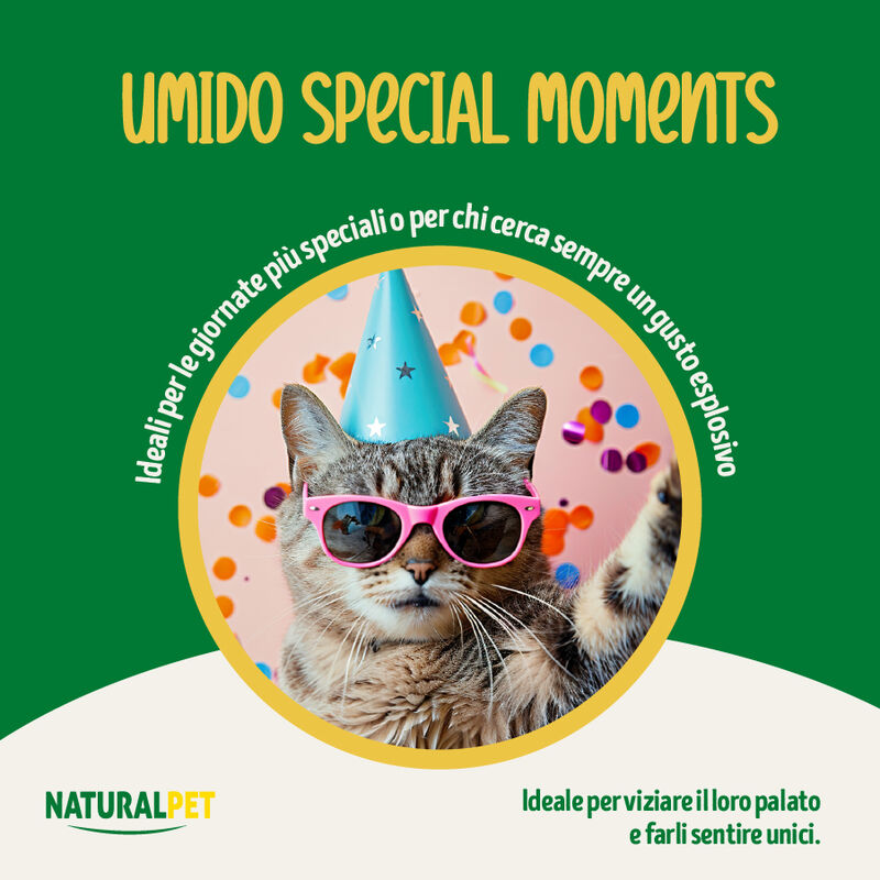Naturalpet Cat Sterilised I rag&ugrave; Manzo con cubetti di arrosto di pollo 85gr