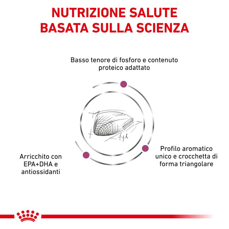 Royal Canin Veterinary Diet Cat Renal Special 2 kg