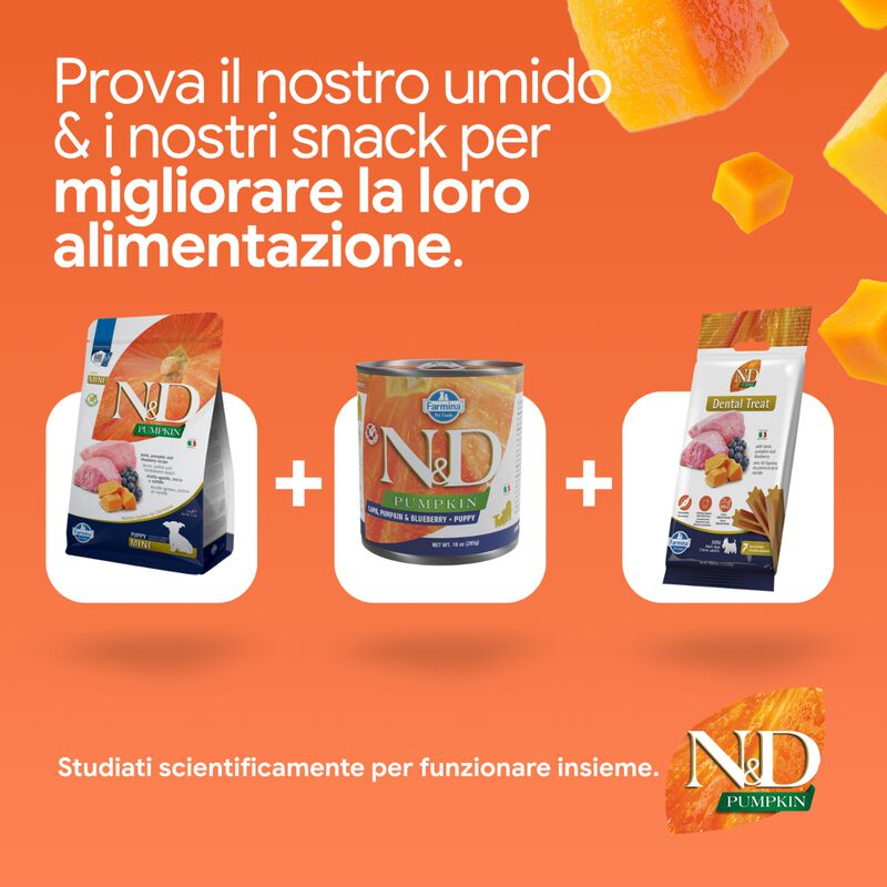 N&D Farmina Pumpkin Dog Puppy Mini Agnello e Mirtillo 800 gr