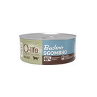 O-life Cat Adult Budino Sgombro 70gr