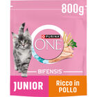 Purina One Bifensis Cat Junior Pollo e Cereali Integrali 800 gr