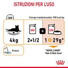 Royal Canin Cat Adult Hair&Skin in Salsa 85gr