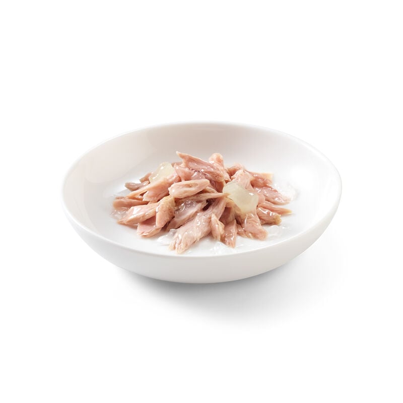 Schesir Cat Kitten Tonnetto con Aloe 140 gr