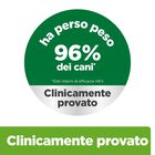Hill's Prescription Diet Dog Metabolic con Pollo 12 kg