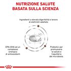 Royal Canin Veterinary Diet Dog Gastrointestinal High Fiber 14 kg
