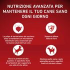 Purina One Dog Mini Active con Pollo e Riso 800 gr