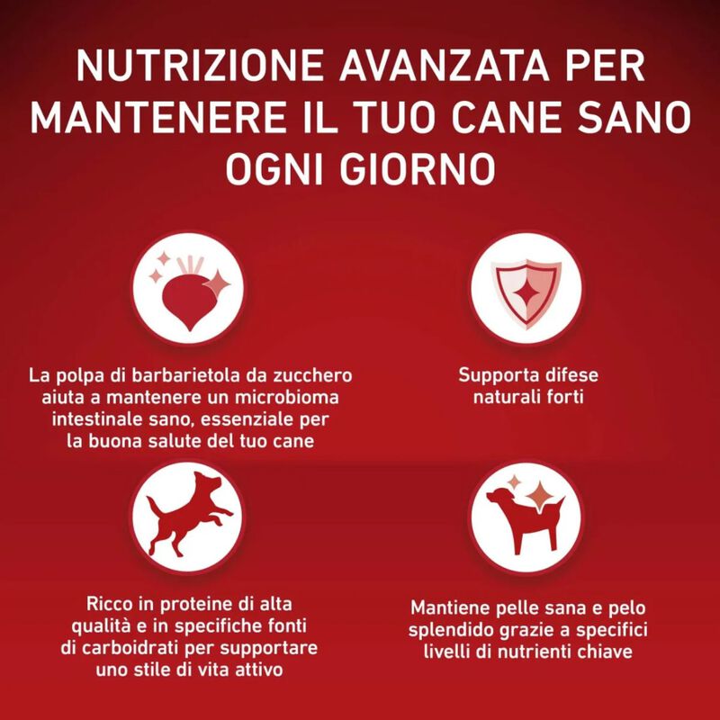 Purina One Dog Mini Active con Pollo e Riso 800 gr