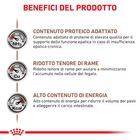 Royal Canin Veterinary Diet Cat Hepatic 2 kg