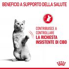 Royal Canin Cat Adult Appetite Control Care 400 gr