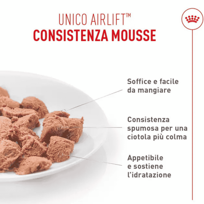 Royal Canin Cat Adult Appetite Control Airlift Mousse 85gr