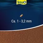 Tetra Discus Granules 100 ml