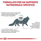 Royal Canin Veterinary Diet Cat Sensitivity Control 400 gr