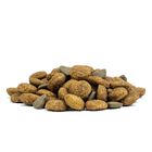 Forza 10 Active Vet Diet Renal per Gatti Adulti al Pesce 1,5 kg