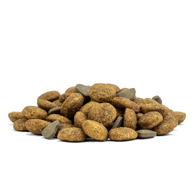 Forza 10 Active Vet Diet Renal per Gatti Adulti al Pesce 1,5 kg