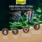 Tetra Goldfish Gold Colour 250 ml