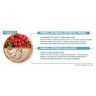 Natural Trainer Cat Adult Exigent con Pesce Azzurro 1,5 kg