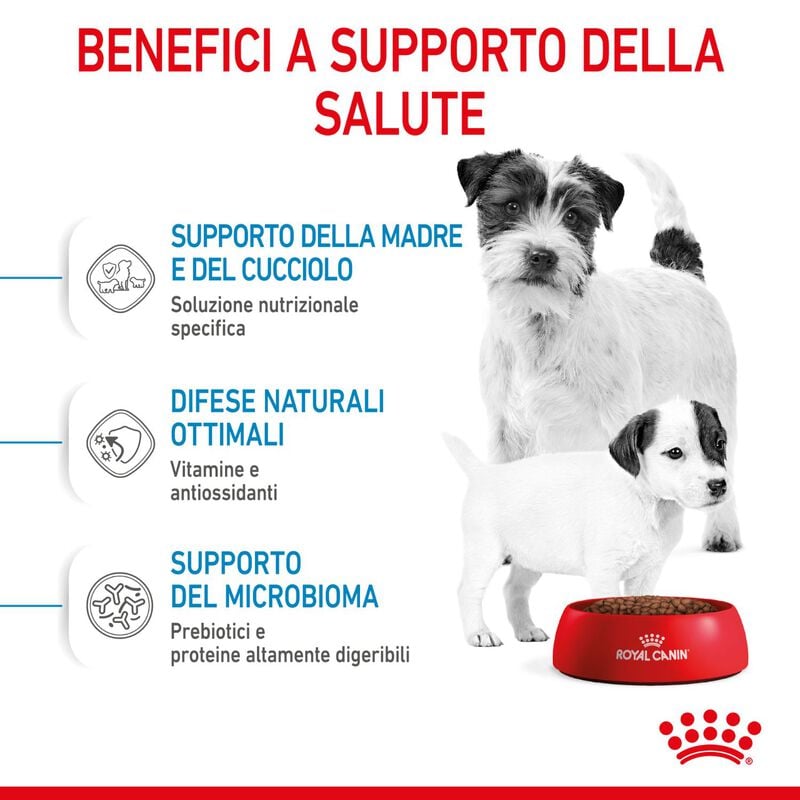 Royal Canin Dog Mini Starter 1 kg