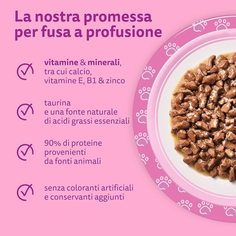 Whiskas Cat Junior Selezione Delicata in Gelatina 4 pz x 85 gr