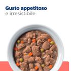 Hill's Prescription Diet Dog On Care con Pollo e verdure 354 gr