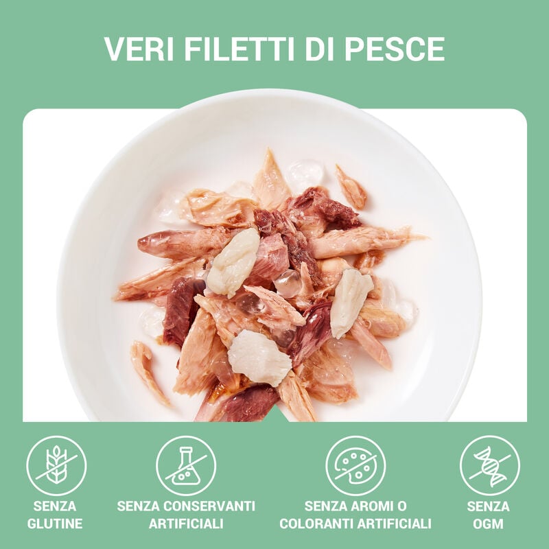 Schesir Cat Jelly Tonnetto con Dentice 70g