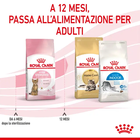 Royal Canin Cat Kitten Sterilised 2 kg