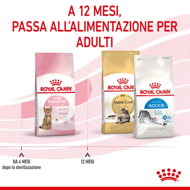 Royal Canin Cat Kitten Sterilised 2 kg