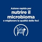 Hill's Prescription Diet Cat Gastrointestinal Biome Spezzatino al Pollo e Verdure 82 gr