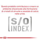 Royal Canin Expert Neutered Adult Small 1,5 kg