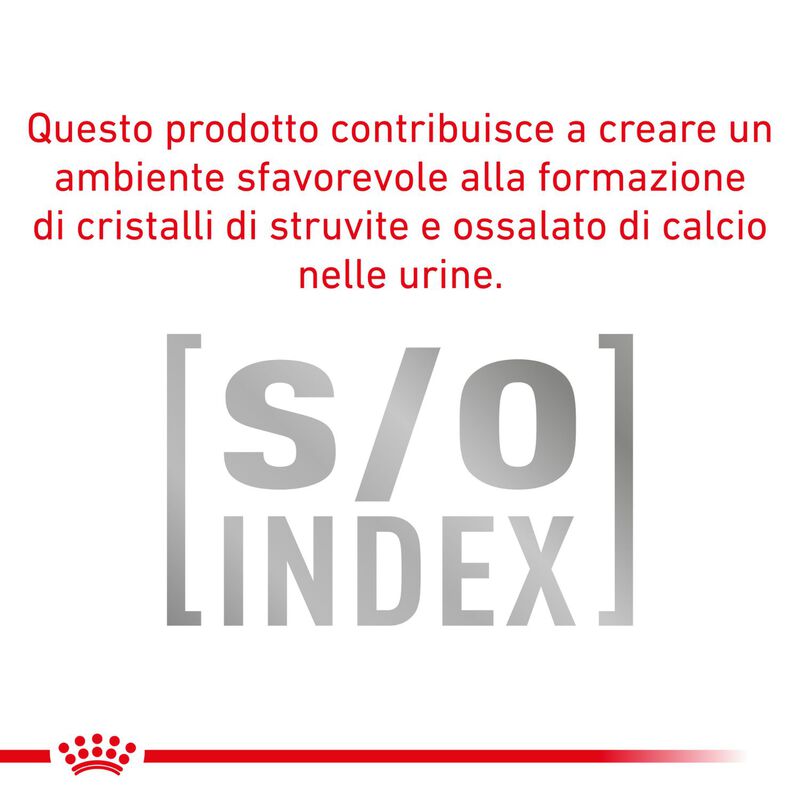 Royal Canin Expert Neutered Adult Small 1,5 kg