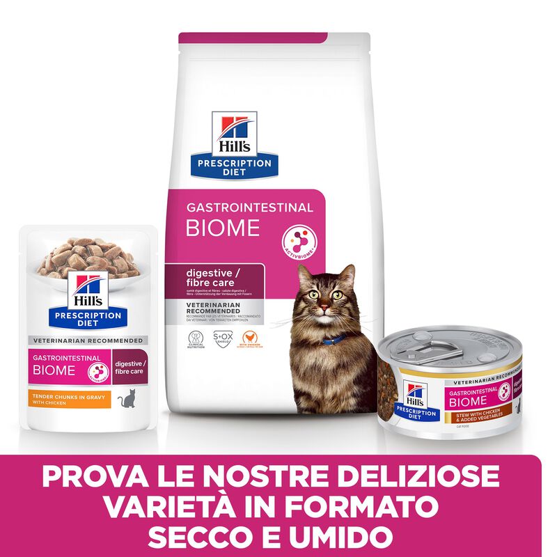 Hill's Prescprition Diet Cat Adult Gastrointestinal Biome 300gr