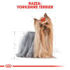Royal Canin Dog Adult e Senior Yorkshire Terrier 1,5 kg