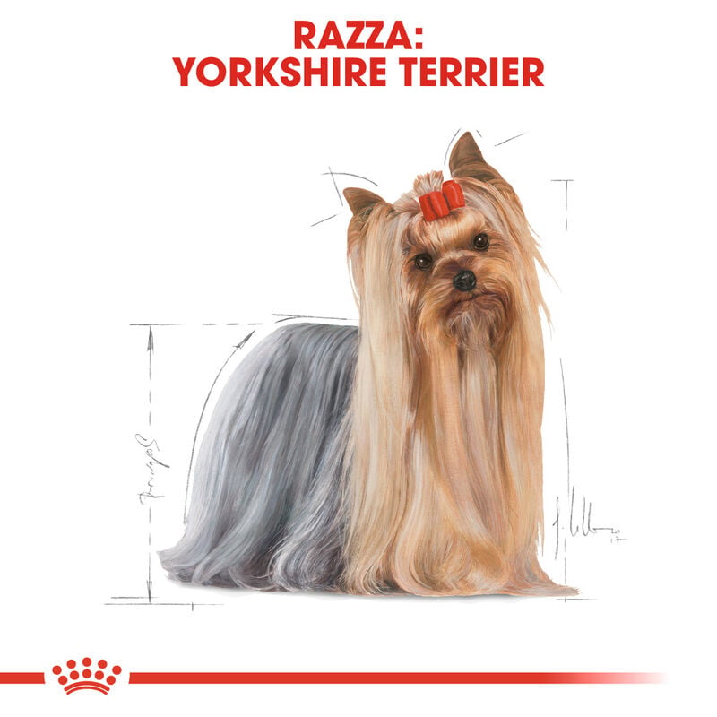 Royal Canin Dog Adult e Senior Yorkshire Terrier 1,5 kg