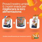 N&D Farmina Pumpkin Dog Adult Mini Agnello e Mirtillo 7 kg