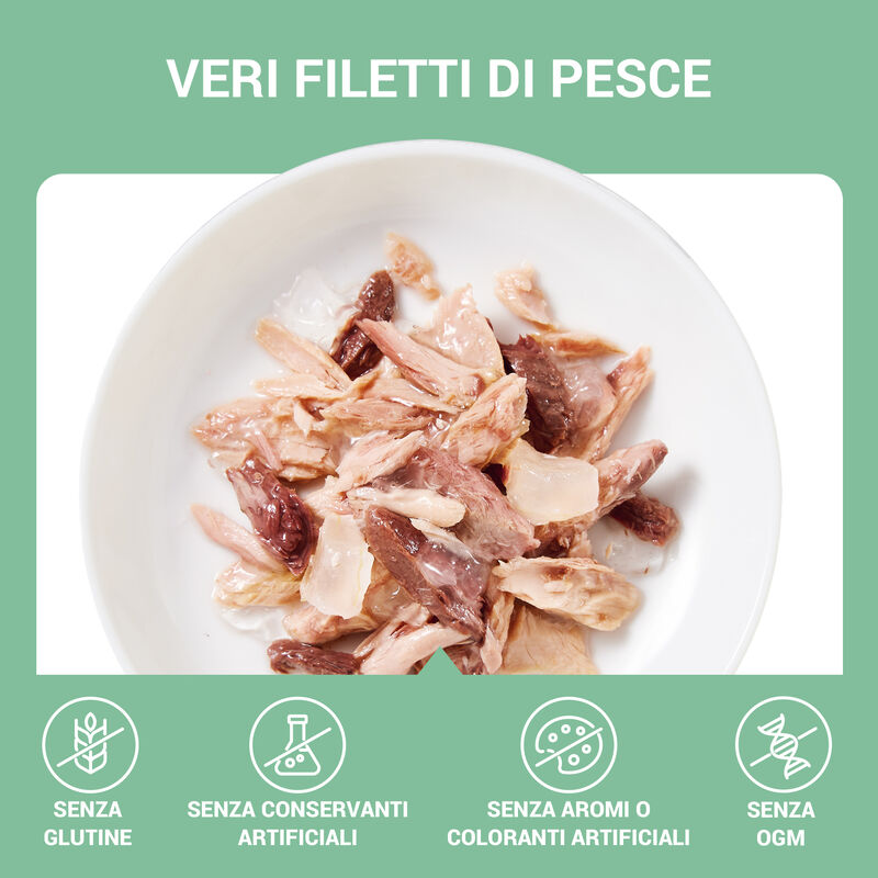 Schesir Cat Jelly Tonnetto con Alghe 70g