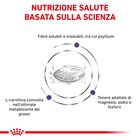 Royal Canin Expert Diet Cat Neutered Satiety Balance 1,5 kg