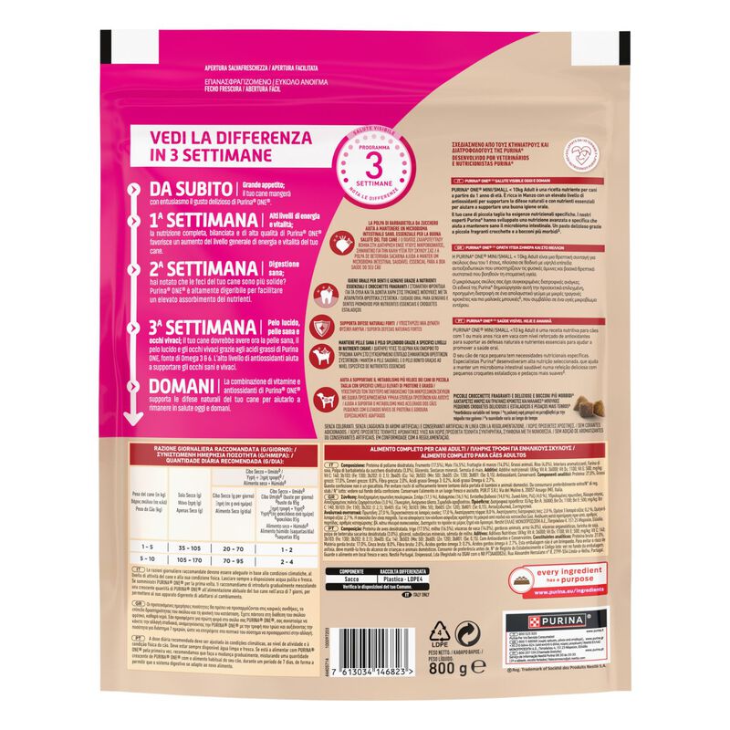 Purina One Dog Mini Adult con Manzo e Riso 800 gr