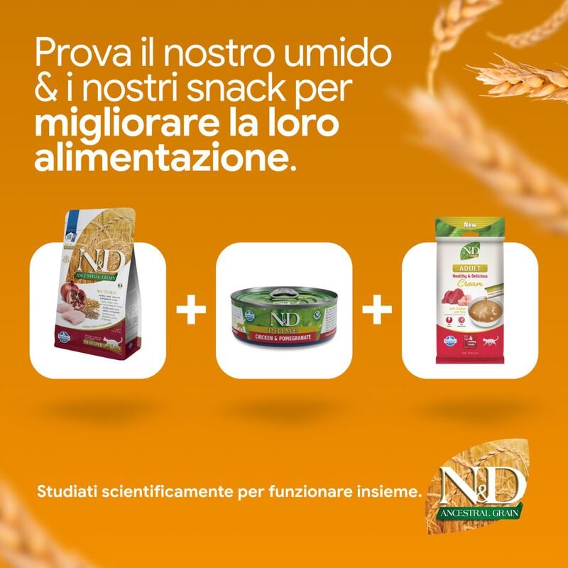 N&D Farmina Ancestral Grain Neutred Cat Pollo & Melograno 300 gr
