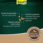 Tetra Reptomin Energy 250 ml