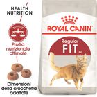 Royal Canin Cat Adult Fit 32 10 kg
