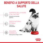 Royal Canin Cat Adult e Kitten Mother and Babycat 400 gr