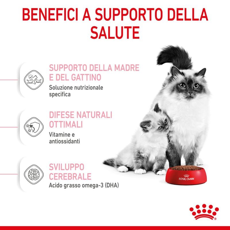 Royal Canin Cat Adult e Kitten Mother and Babycat 400 gr