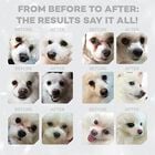 Nature's Protection Superior Care Dog Junior Small & Mini Pelo Bianco al Pesce 1,5 kg