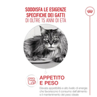 Royal Canin Cat Senior +15 anni 2kg